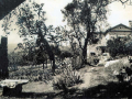 Escape to Provence